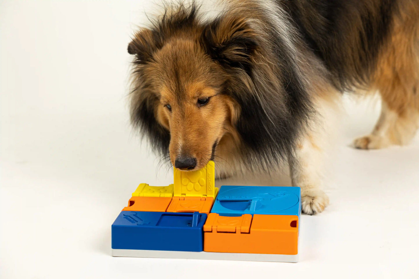 Pawzler Puzzles