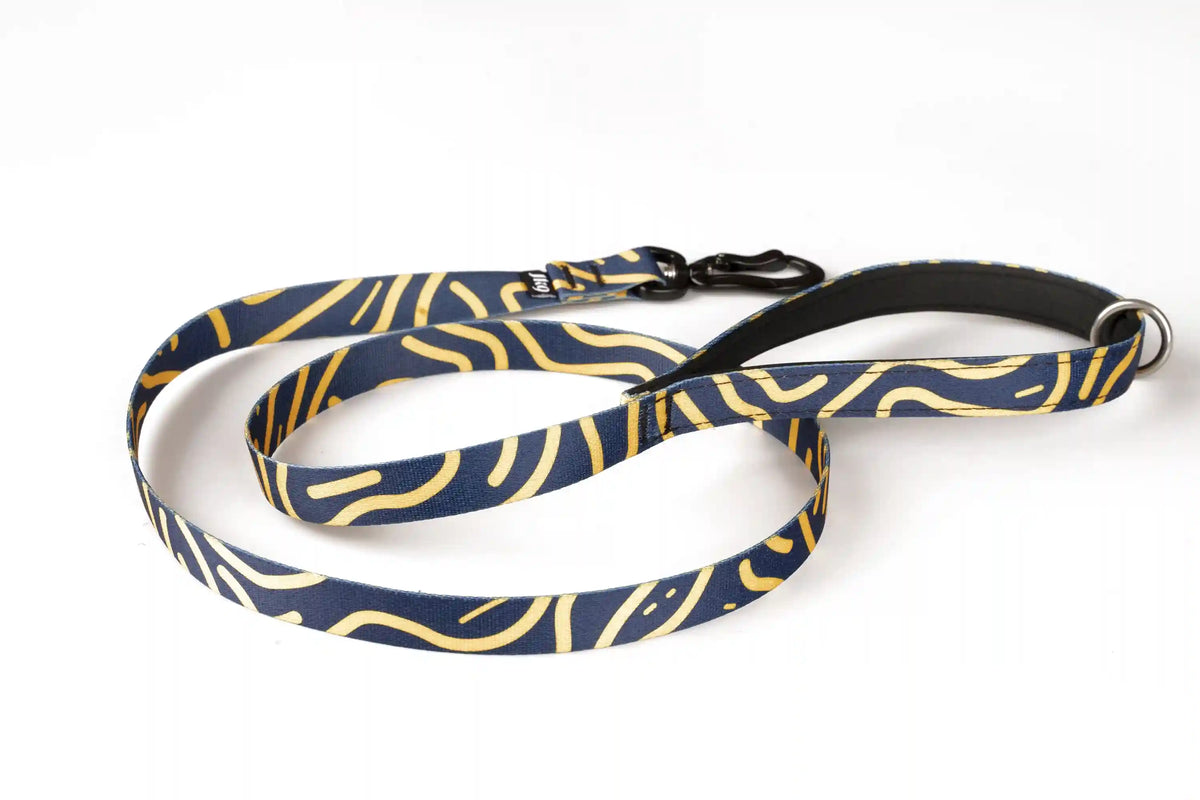 4 Ft Limited Edition Leash