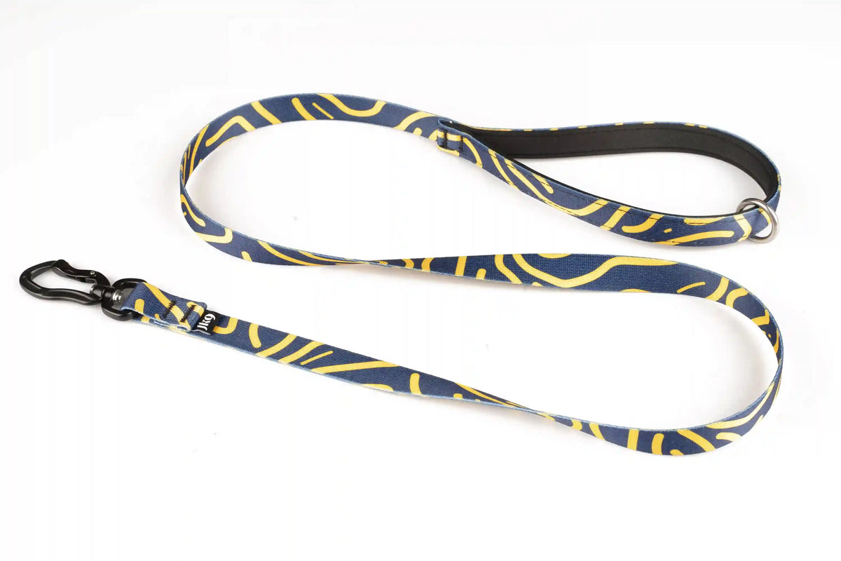4 Ft Limited Edition Leash