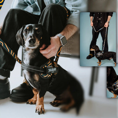 Limited Edition Bundle