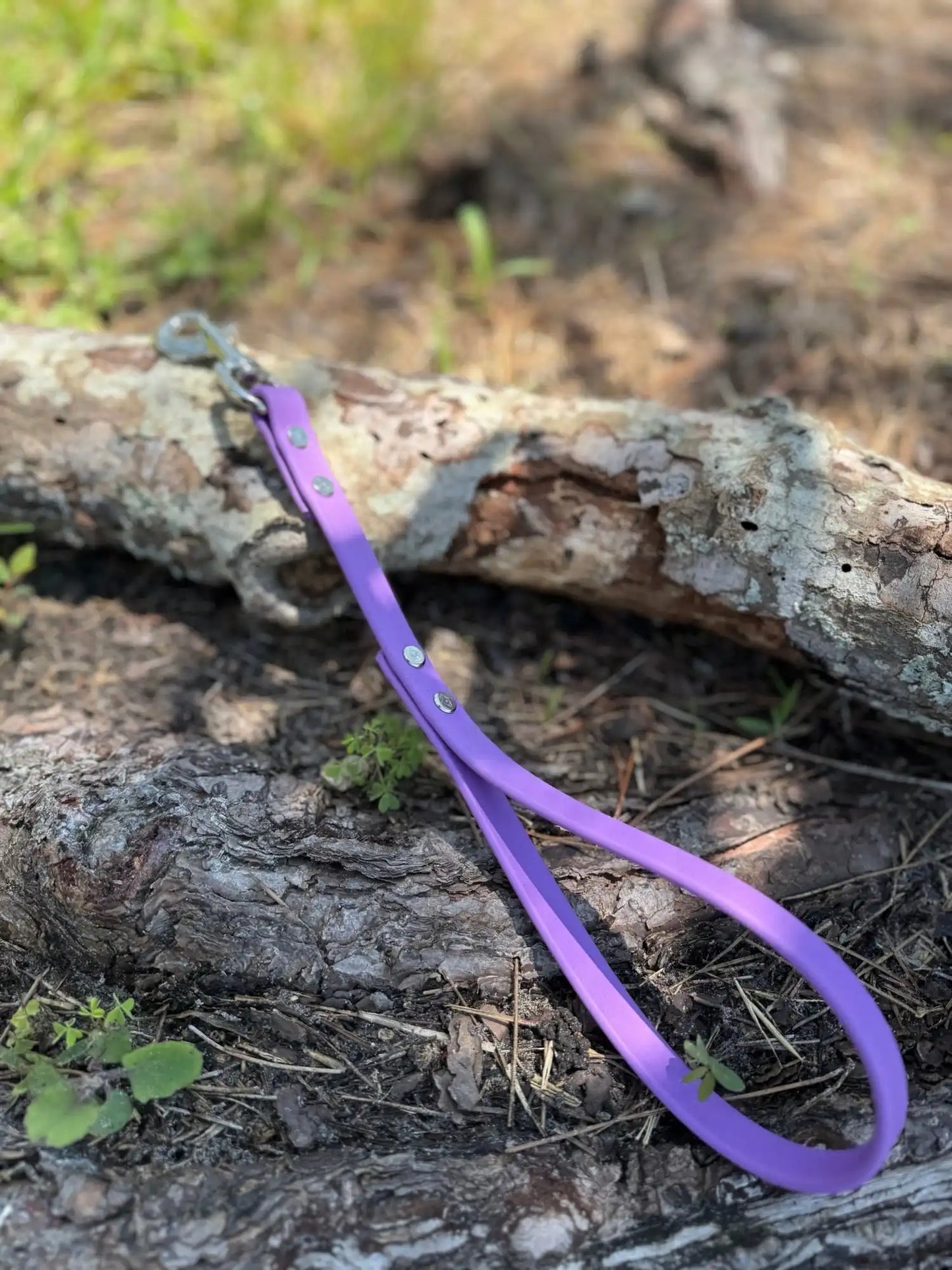 Biothane® Dog Leash — Waterproof, Made in the USA