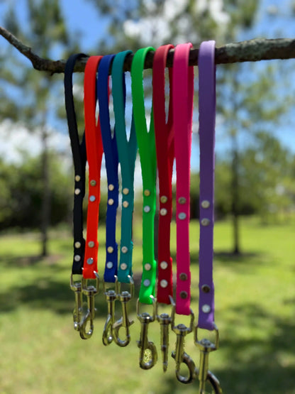 Biothane® Dog Leash — Waterproof, Made in the USA