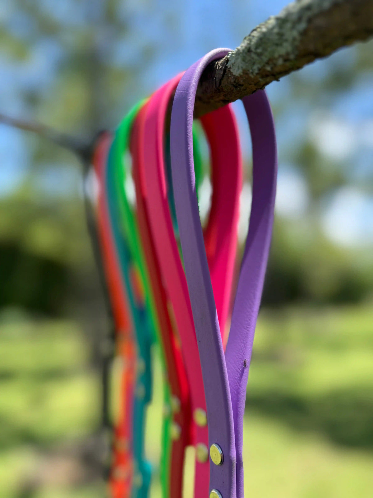 Biothane® Dog Leash — Waterproof, Made in the USA