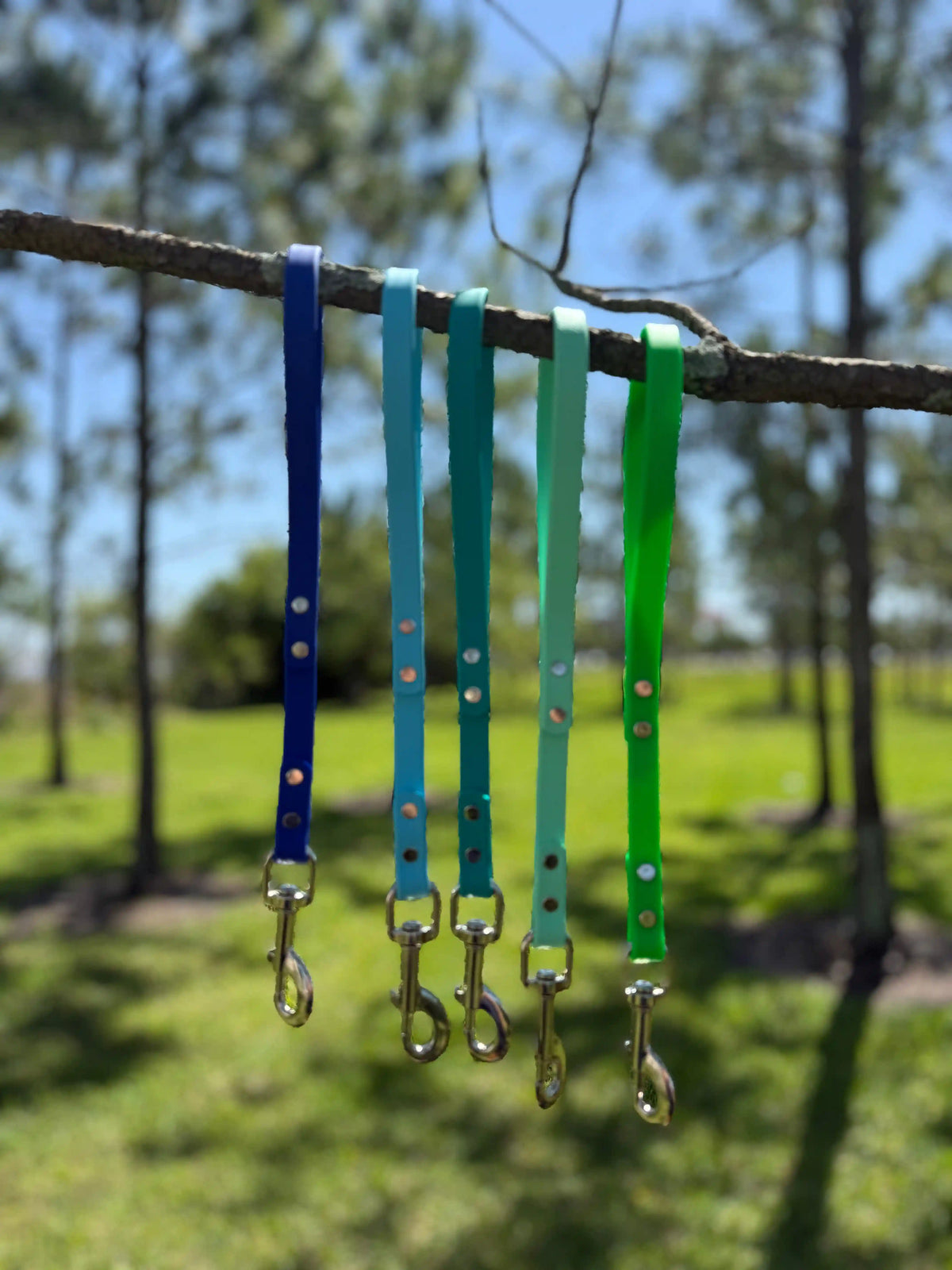 Biothane® Dog Leash — Waterproof, Made in the USA