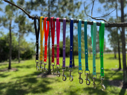 Biothane® Dog Leash — Waterproof, Made in the USA