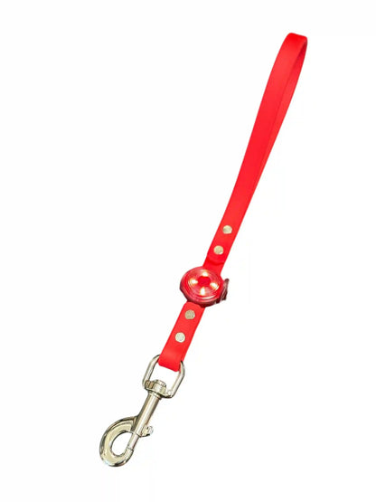 Biothane® Dog Leash — Waterproof, Made in the USA