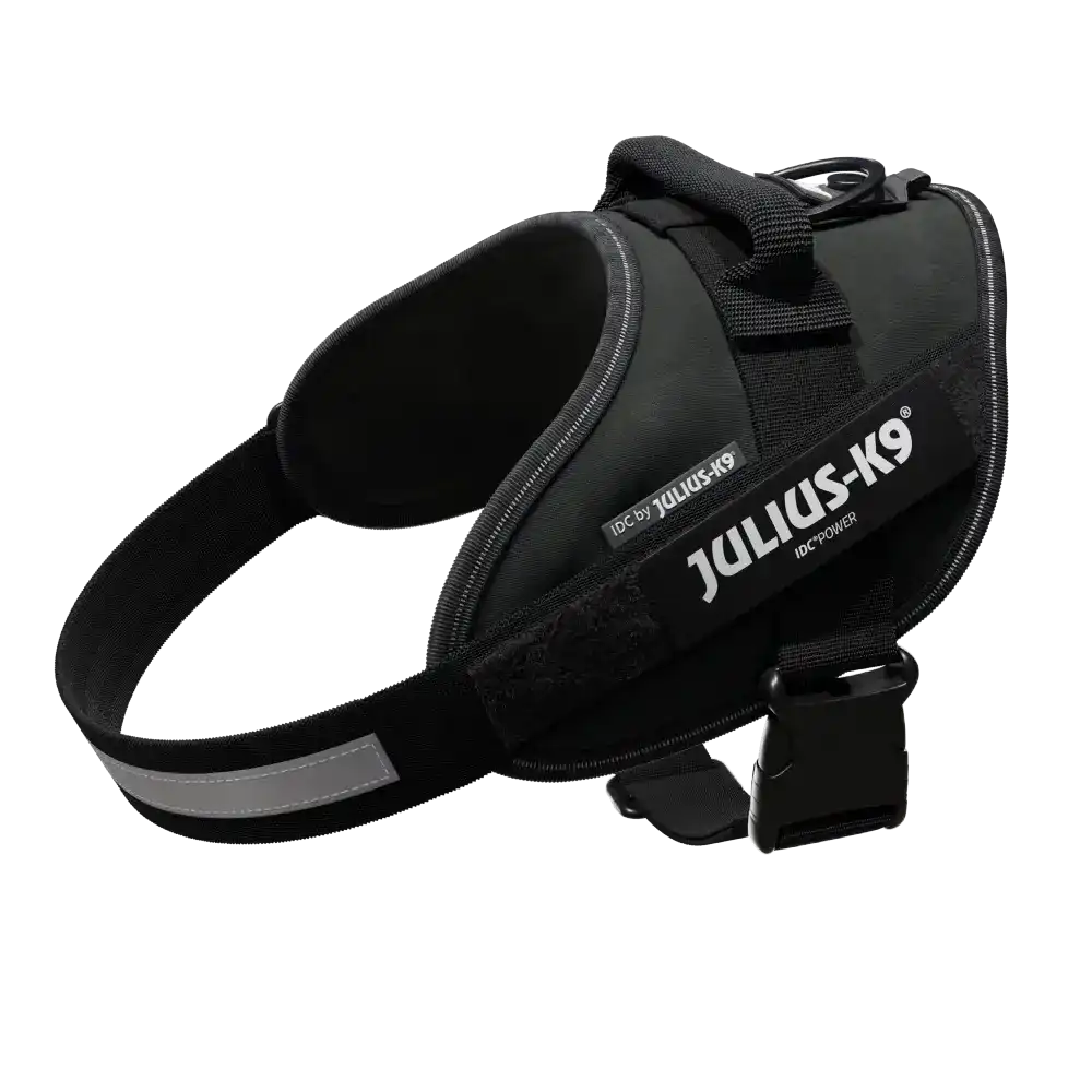 Julius-K9® IDC® Powerharness