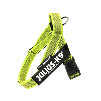 Julius-K9 IDC® Color & Gray®  Belt Harness