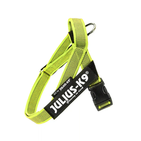 Julius-K9 IDC® Color & Gray®  Belt Harness