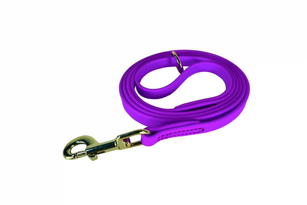 Biothane® Dog Leash — Waterproof, Made in the USA