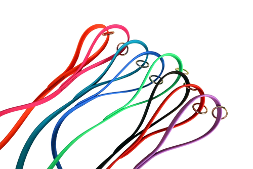 Biothane® Dog Leash — Waterproof, Made in the USA