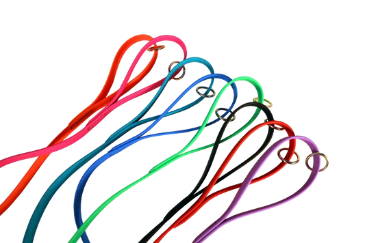 Biothane® Dog Leash — Waterproof, Made in the USA